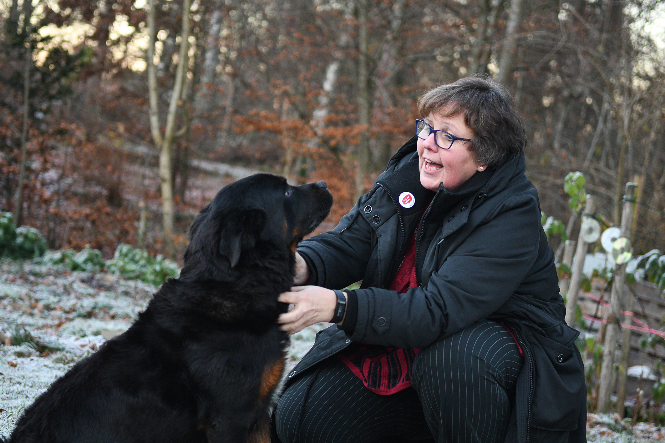 Promenader i skogen med rotweilern Zigge är en viktig avkoppling för Lena.