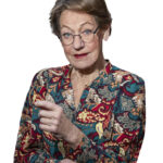 Gudrun Schyman, Tidigare riksdagsledamot och partiledare.